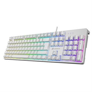 GAMEBOOSTER G24W Enigma Rainbow Aydınlatmalı Red Switch Mekanik Beyaz Oyun Klavyesi
