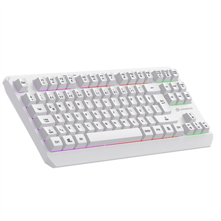 GAMEBOOSTER G75 ELYA Rainbow Aydınlatmalı Beyaz TKL Membrane Oyun Klavyesi