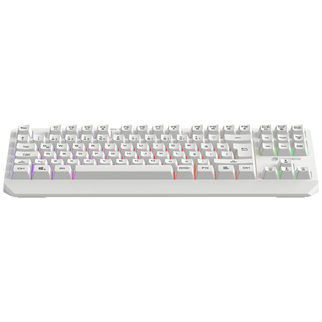 GAMEBOOSTER G75 ELYA Rainbow Aydınlatmalı Beyaz TKL Membrane Oyun Klavyesi