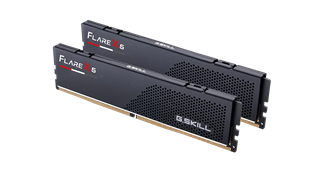 GSKILL 32GB (2X 16GB) DDR5 5600MHZ CL30 DUAL KIT PC RAM FLARE X5 F5-5600J3036D16GX2-FX5