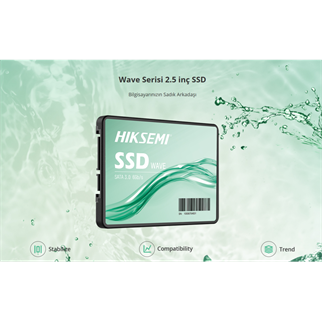 HIKSEMI HS-SSD-WAVE(S) 2048G, 550-510Mb/s, 2.5