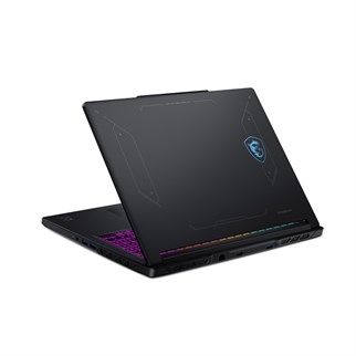 MSI 16