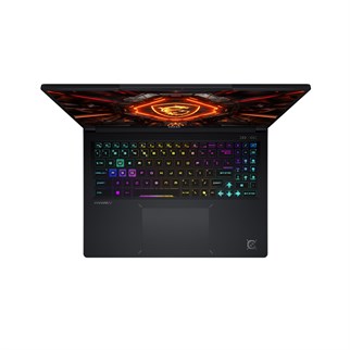 MSI 16