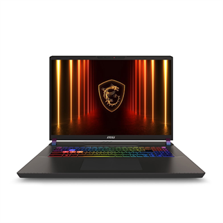 MSI 17