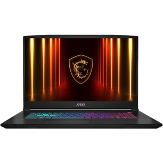 MSI 17.3