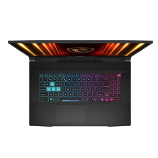 MSI 17.3