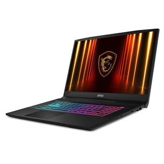 MSI 17.3