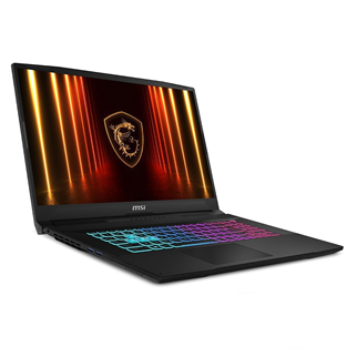MSI 17.3