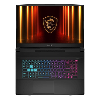 MSI 17.3