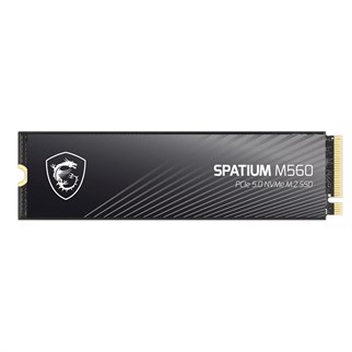 MSI 500GB SPATIUM M450 3000- 2000MB/s M2 NVME GEN4 Disk
