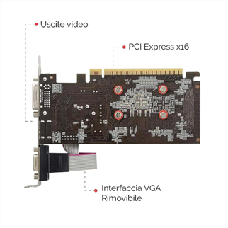 PELADN Nvidia GT 610, 2Gb, GDDR3, 64Bit, 1xD-Sub, 1xDVI, 1xHDMI Ekran Kartı