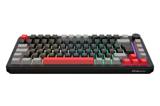 QUANTUM MECHACORE Kablolu USB Q Trk RGB Gaming Klavye