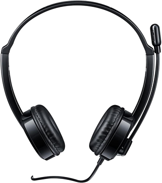RAPOO H100 Kablolu Kulak Üstü Kulaklık - Mikrofonlu - 3.5mm - Siyah