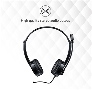 RAPOO H100 Kablolu Kulak Üstü Kulaklık - Mikrofonlu - 3.5mm - Siyah