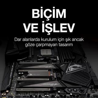 SEAGATE 2TB FIRECUDA 530 ZP2000GM3A023 7300-6900MB/s M2 NVME GEN4 DİSK SOĞUTUCULU