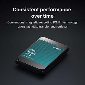 SYNOLOGY 12TB 3.5