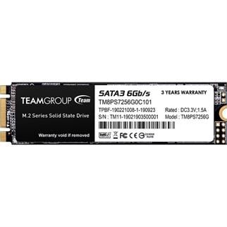 TEAM 256GB MS30 TM8PS7256G0C101 500- 300MB/s M2 SATA-3 Disk