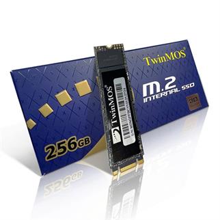TwinMOS 256GB NGFFEGBM2280 580-550MB/s M2 SATA-3 DİSK