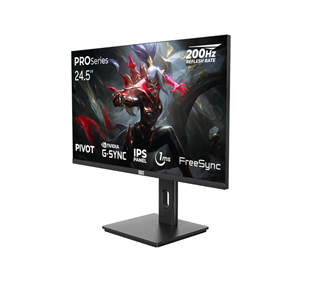 Dragos PRO Series P245FHD200 24.5