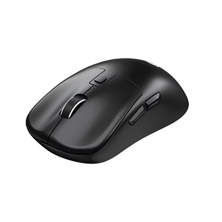 Lenovo Lecoo WS216 Siyah Ergonomik Optik Kablosuz Mouse