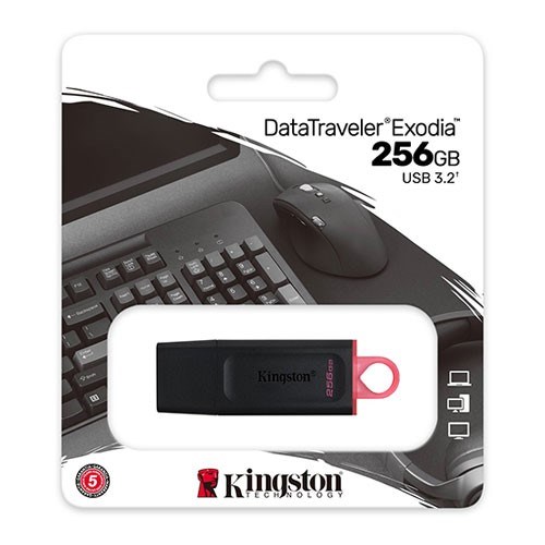 KINGSTON 256GB USB 3.2 Usb Bellek Exodia DTX/256GB