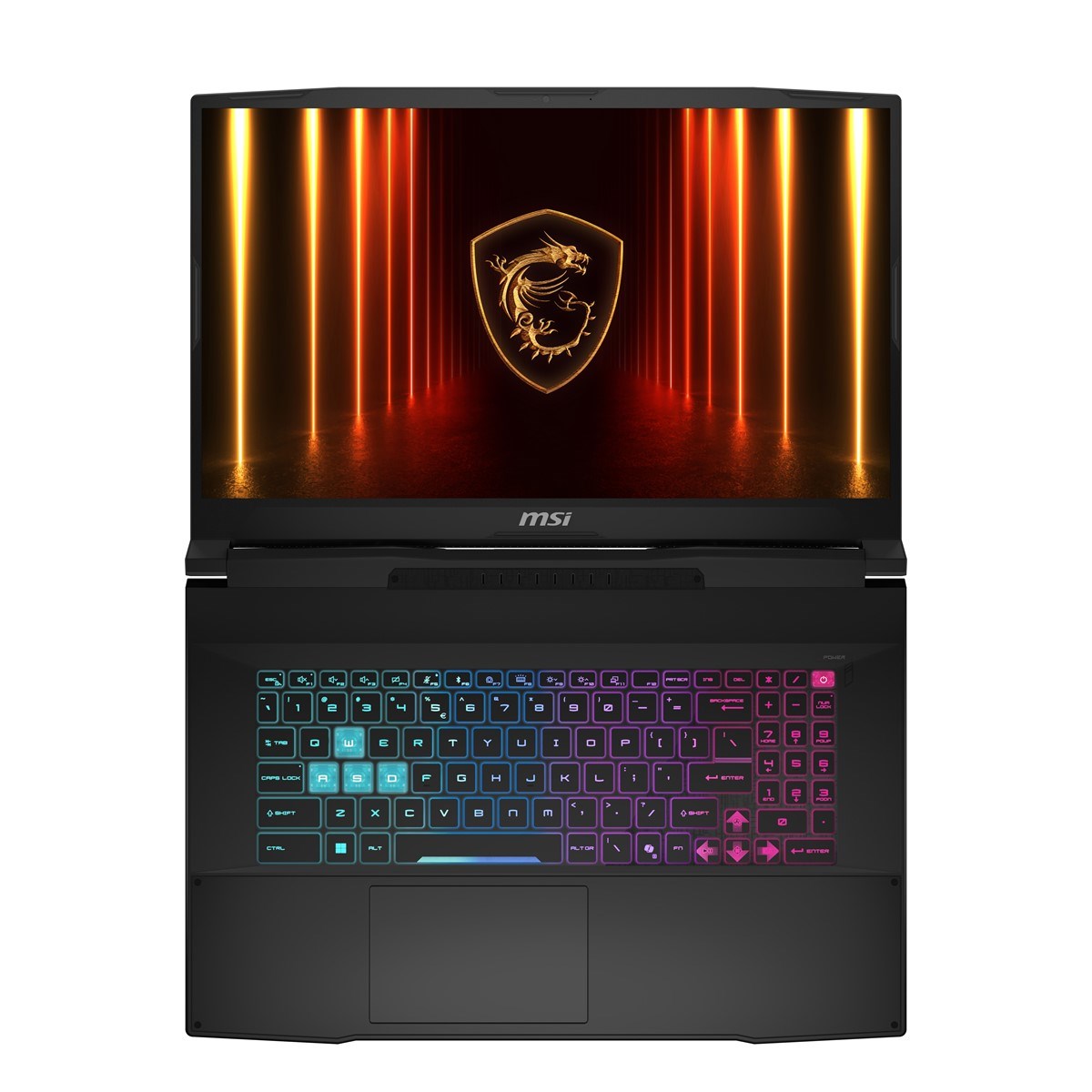 MSI 17.3