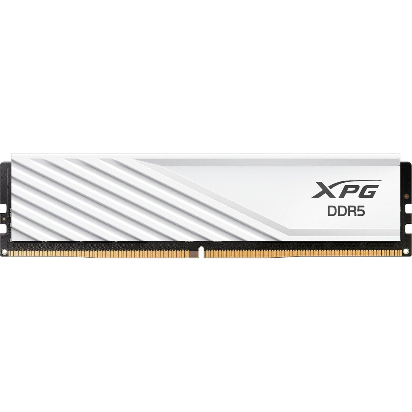 xpg-16gb-ddr5-5600mhz-cl46-pc-ram-beya-d141b2.jpg