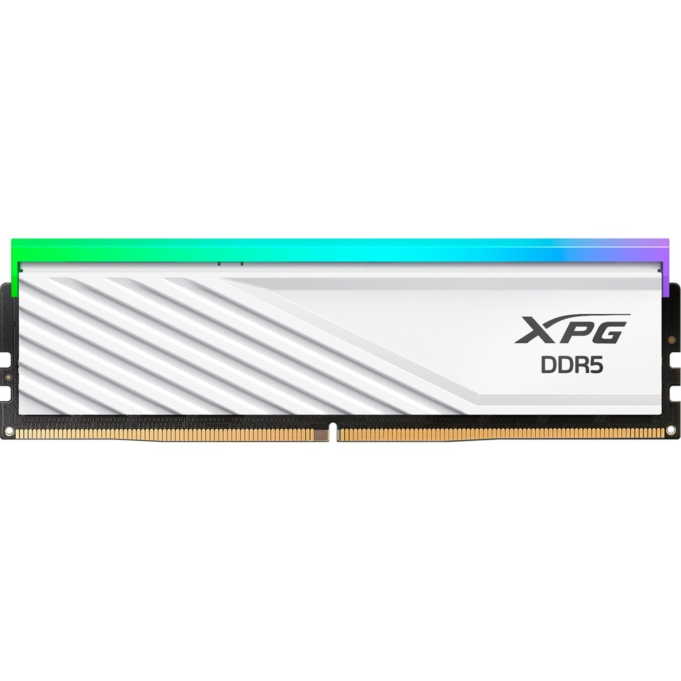 xpg-16gb-ddr5-6400mhz-cl32-rgb-pc-ram--5947cd.jpg