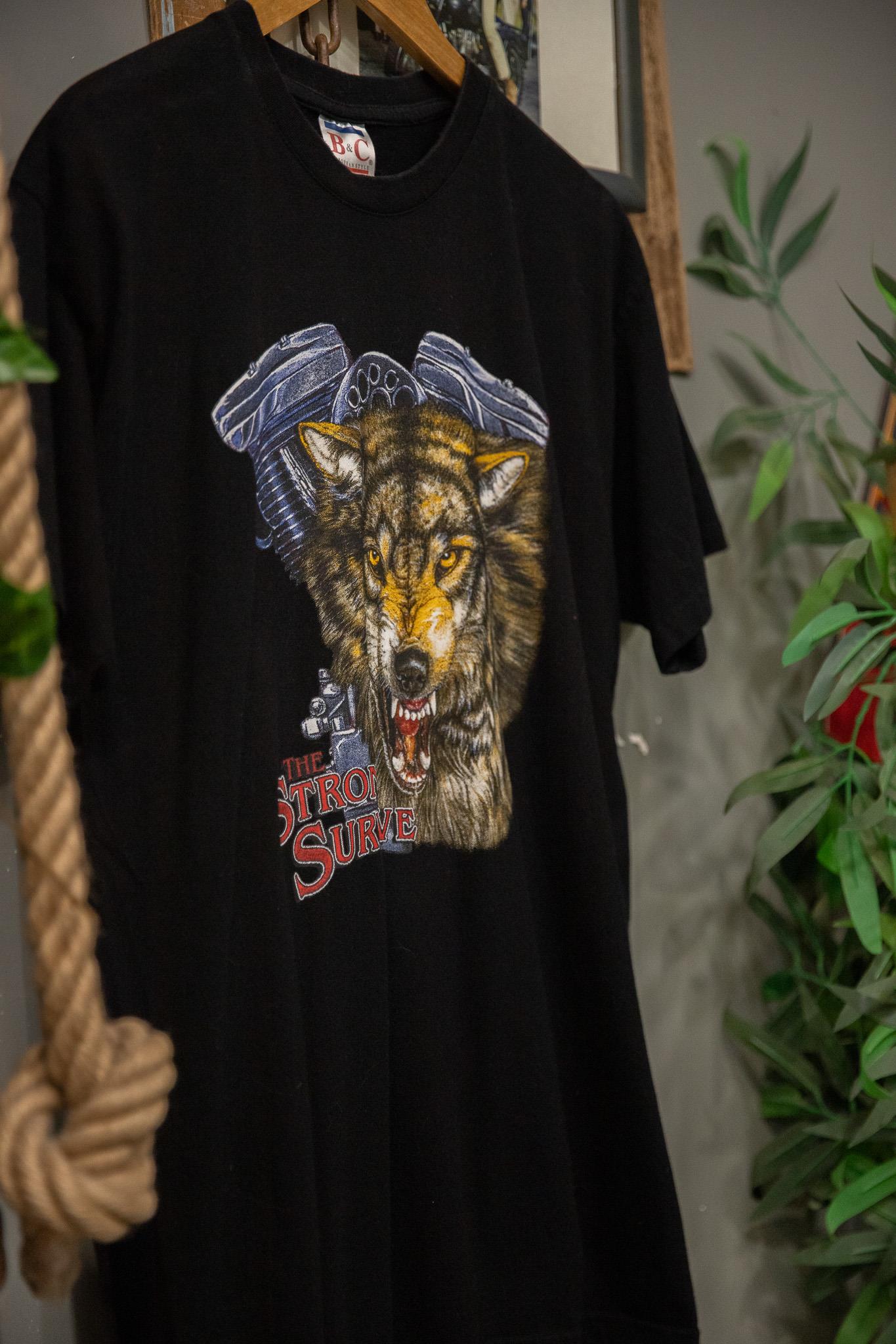 B&C Koleksiyon T-Shirt