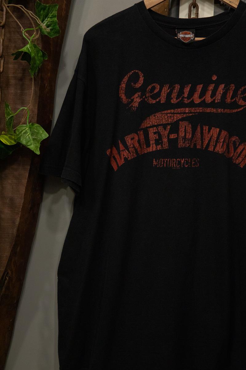 HARLEY DAVIDSON Original T-Shirt