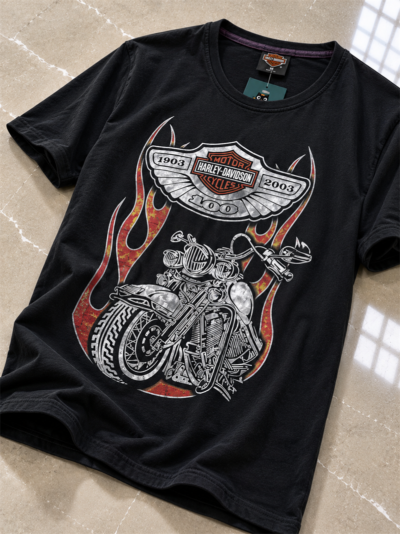 HARLEY-DAVIDSON Original Tişört
