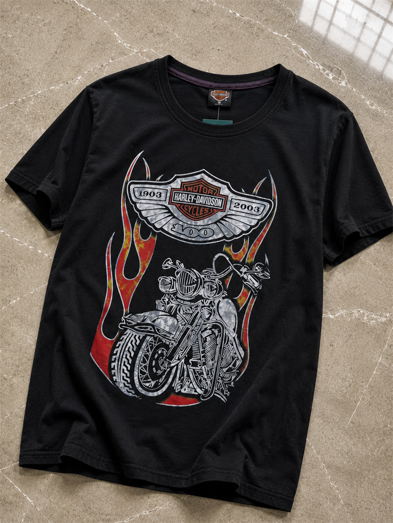 HARLEY-DAVIDSON Original Tişört