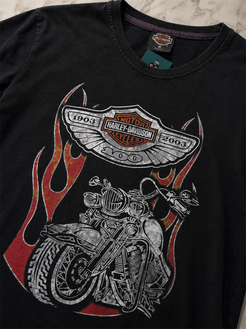 HARLEY-DAVIDSON Original Tişört