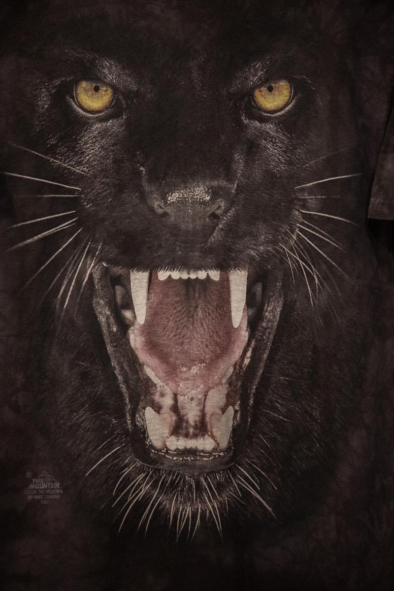 The Mountain USA T-Shirt