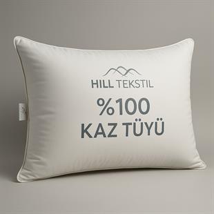 50x70-elizza-kaz-tuyu-yastik-gumus-biye