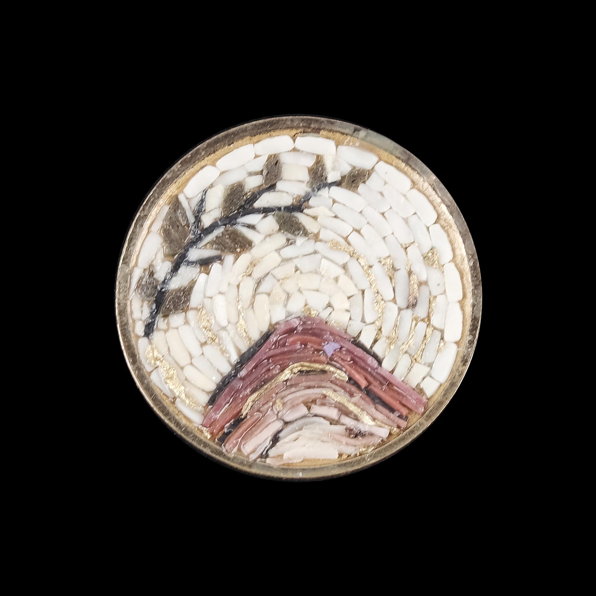 DOĞA YAKA İĞNESİ