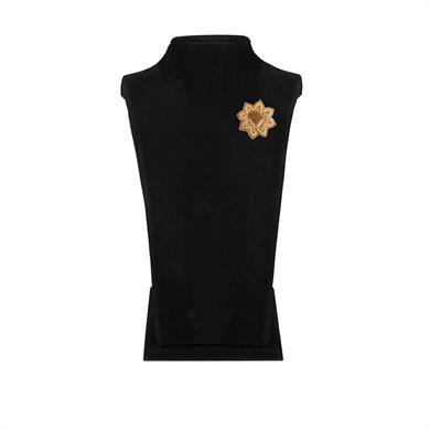 AHSEN YAKA İĞNESİ