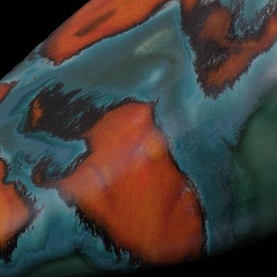 ALACA RENKLİ KUŞ BİBLO