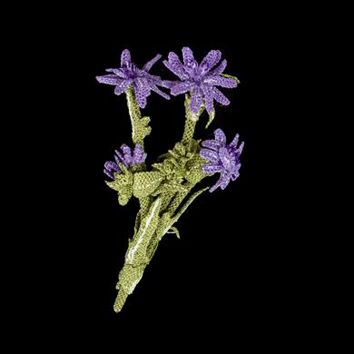 MAVİ HİNDİBA YAKA İĞNESİ