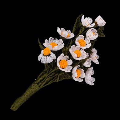 PAPATYA YAKA İĞNESİ