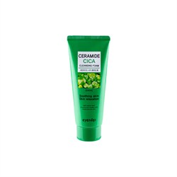 Eyenlip Beauty Seramid İçeren Cica Temizleme Köpüğü 100 ml