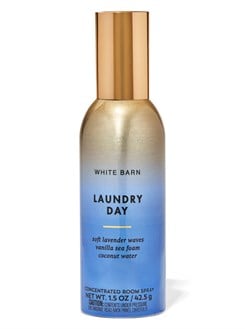 Laundry Day / Oda Spreyi