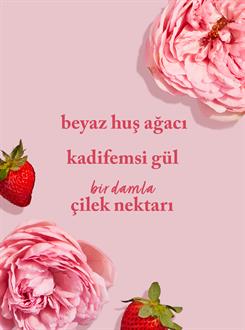 Youre the One / Vücut Spreyi