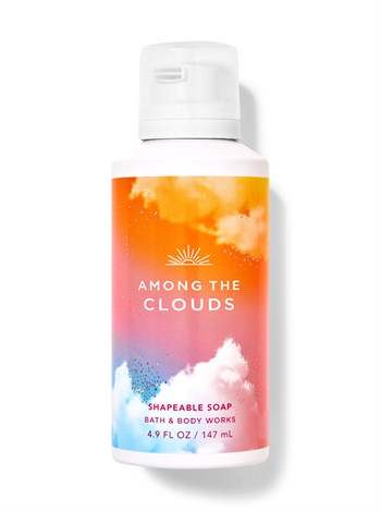 AMONG THE CLOUDS