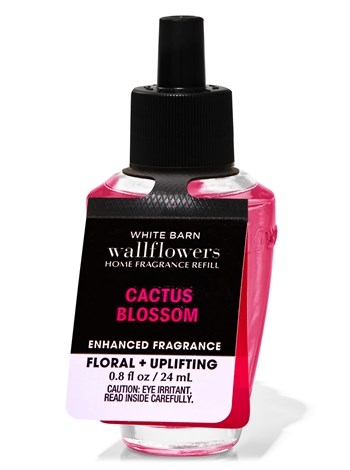 CACTUS BLOSSOM / ODA KOKUSU YEDEGİ