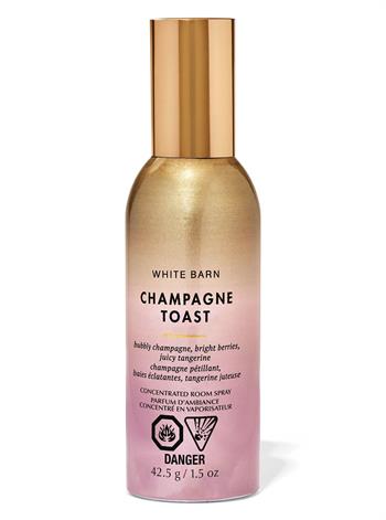 Champagne Toast / Oda Spreyi