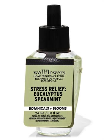 Eucalyptus Spearmint / Oda Kokusu Yedeği