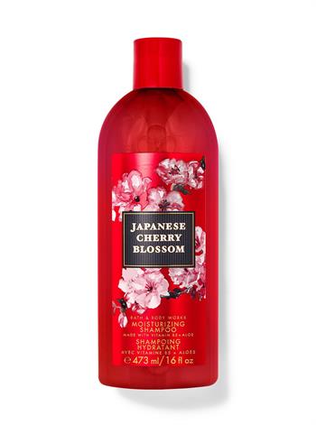 Japanese Cherry Blossom /