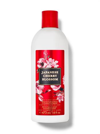 Japanese Cherry Blossom /