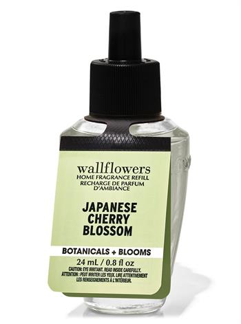 Japanese Cherry Blossom / Oda Kokusu Yedeği